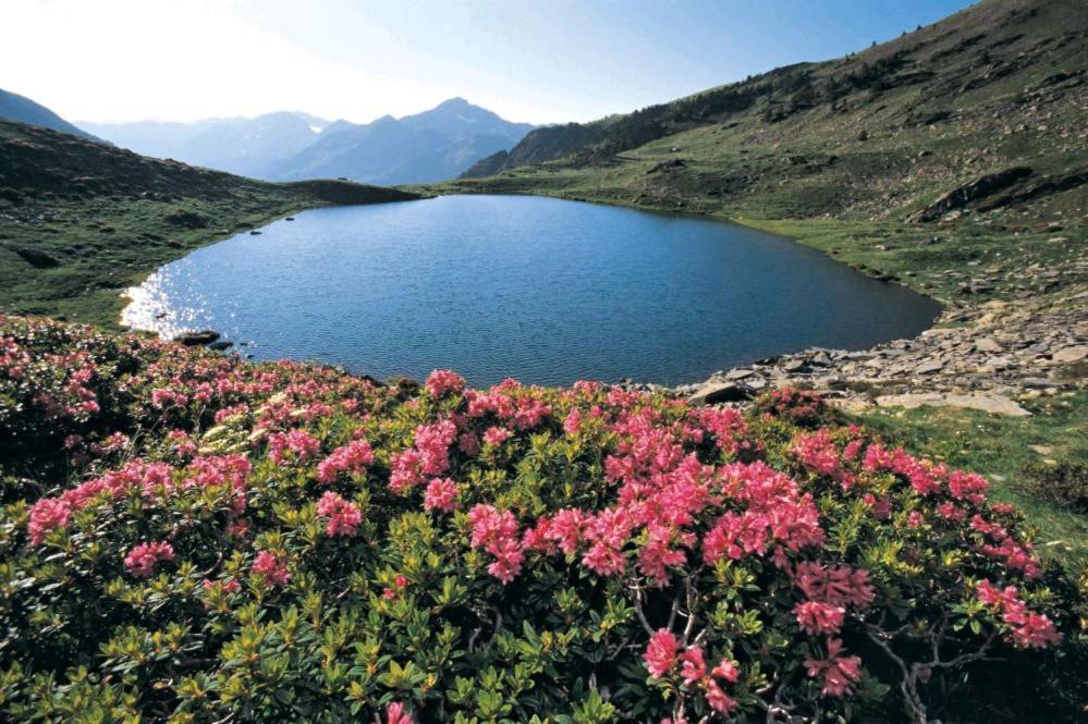 Hotel Xalet Verdu Arinsal Bagian luar foto